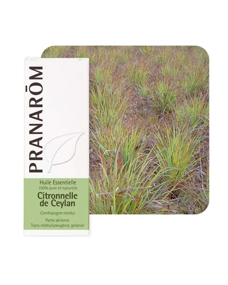 Pranarom eterično ulje citronela cejlonska 10 ml