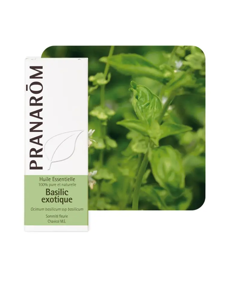 Pranarom eterično ulje bosiljak 10 ml