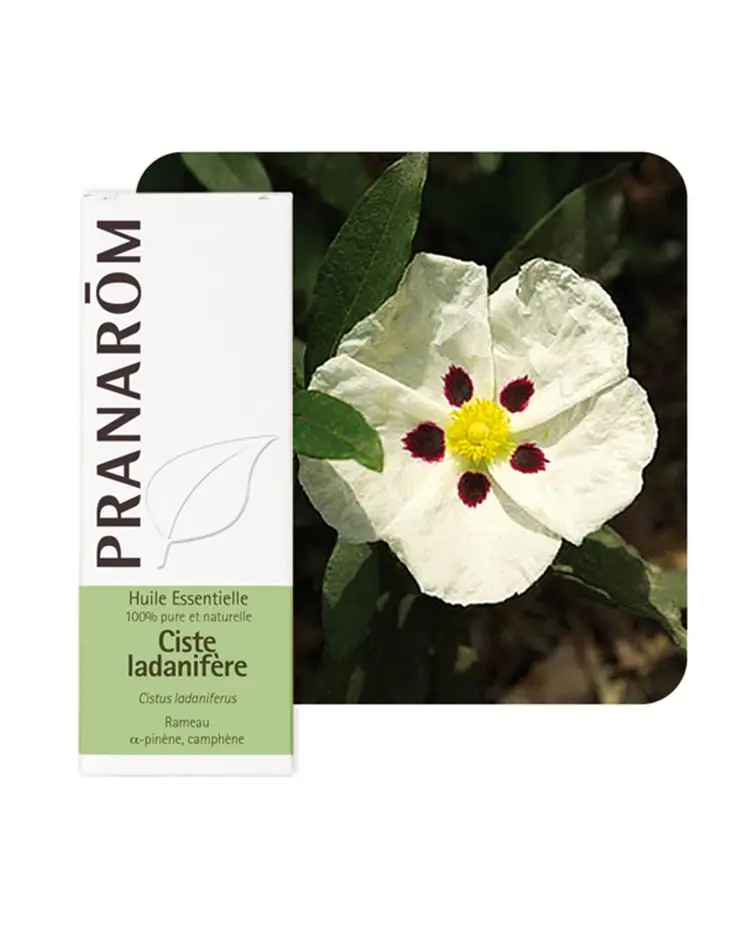 Pranarom eterično ulje bušin 5 ml