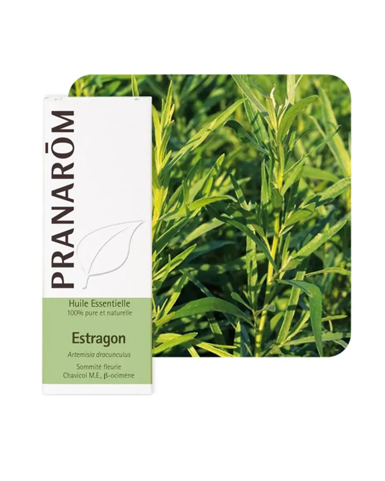 Pranarom eterično ulje estragon 5 ml