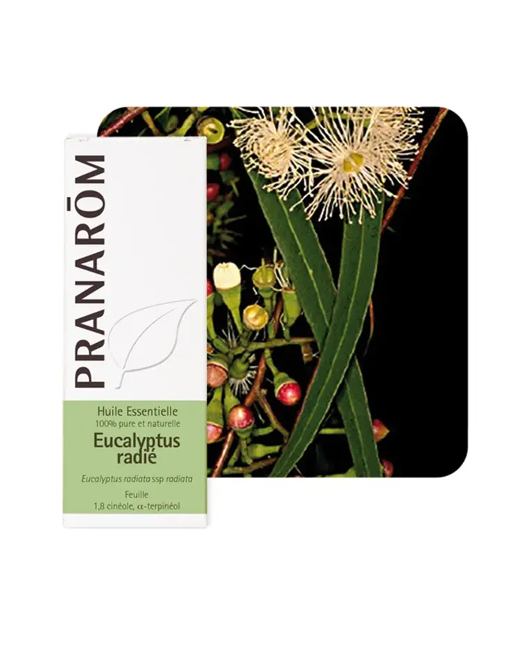 Pranarom eterično ulje eukaliptus radiata, 30 ml
