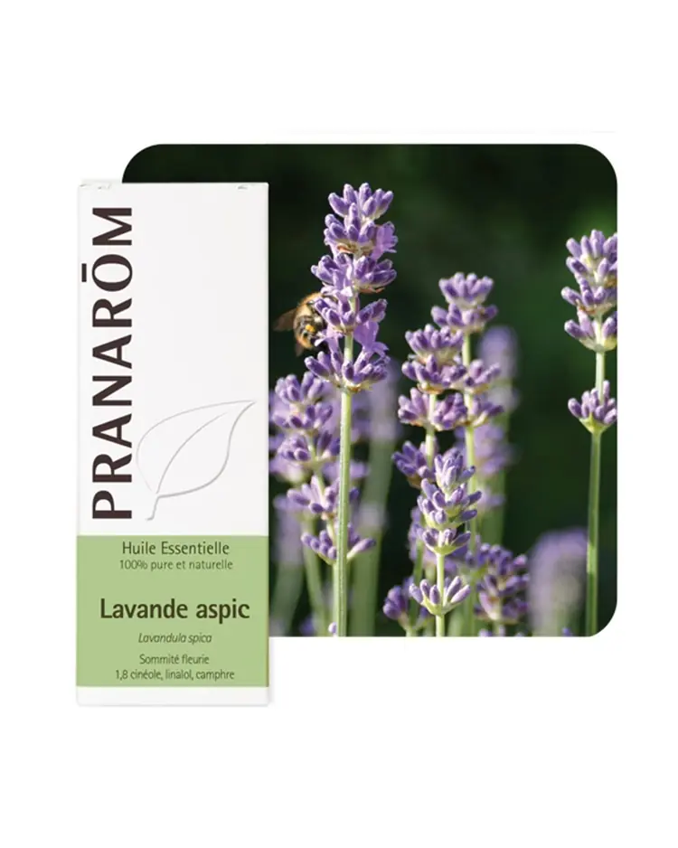 Pranarom eterično ulje lavanda širokolisna 10 ml