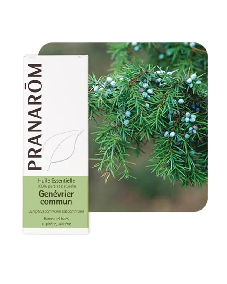 Pranarom eterično ulje borovica 5 ml