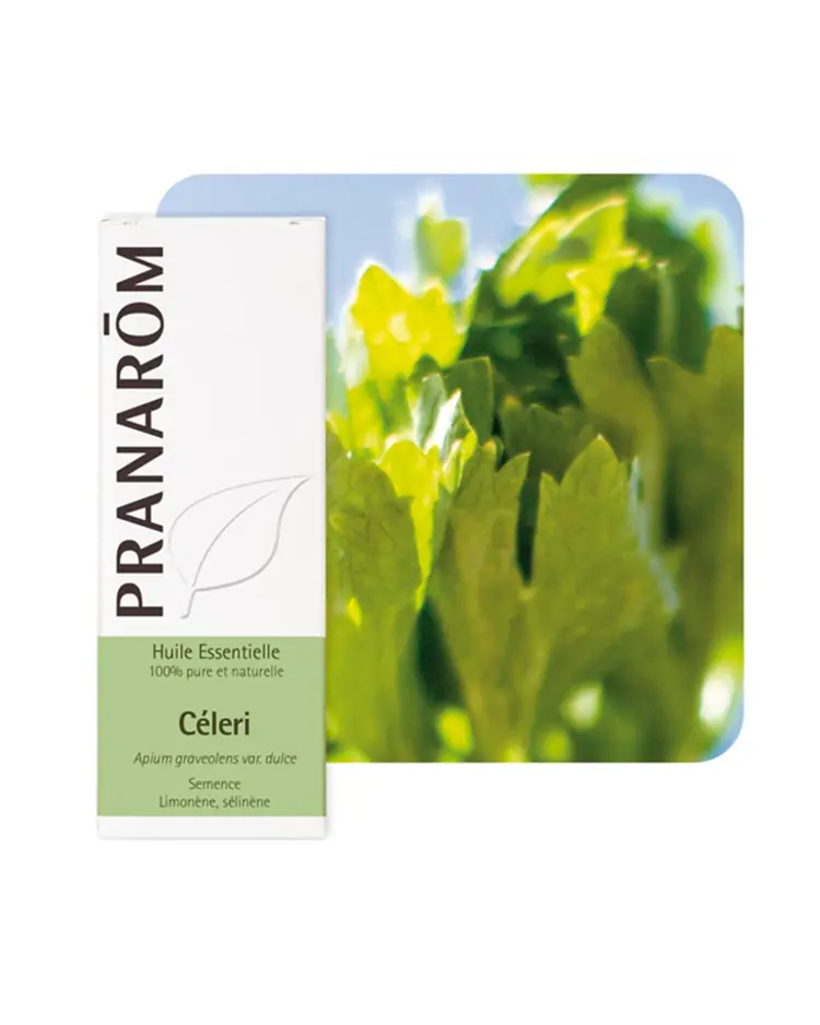 Pranarom eterično ulje celer 10 ml