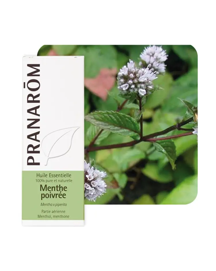Pranarom eterično ulje metvica paprena, 10 ml