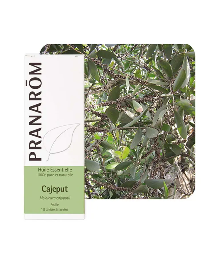 Pranarom eterično ulje kajeput 10 ml