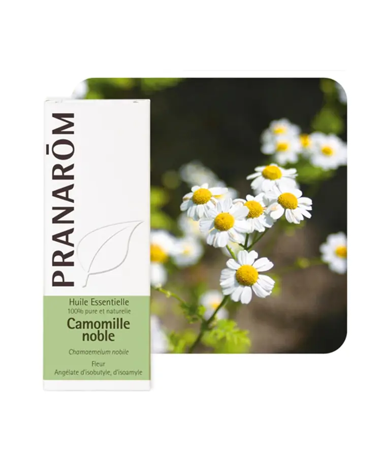 Pranarom eterično ulje rimska kamilica 5 ml