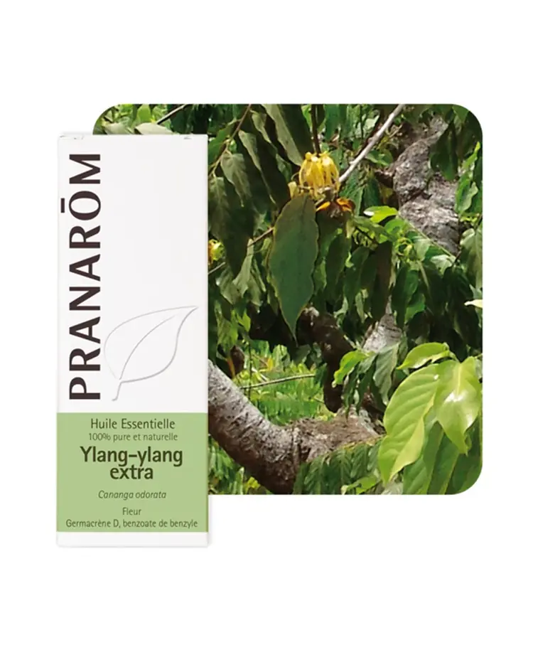Pranarom eterično ulje ylang-ylang extra 5 ml