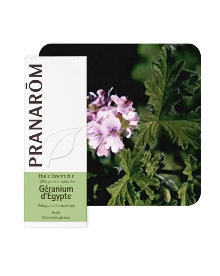 Pranarom eterično ulje geranij egipatski 10 ml
