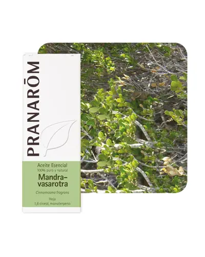 Pranarom eterično ulje mandravasarotra (saro) 10 ml
