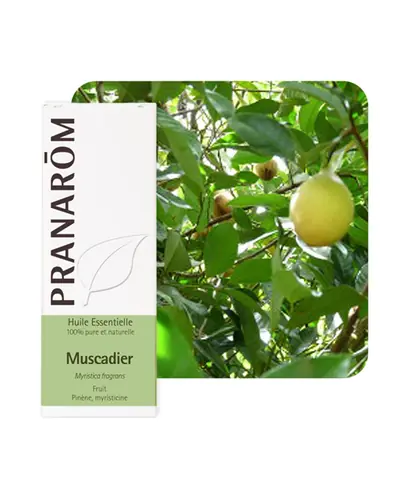 Pranarom eterično ulje muškatni oraščić 10 ml