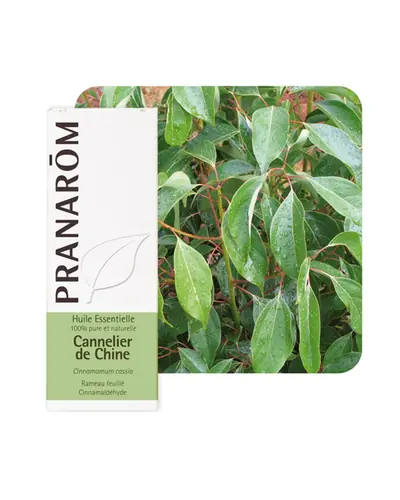 Pranarom eterično ulje cimet list kineski 10 ml