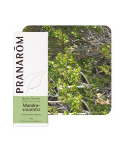Pranarom eterično ulje mandravasarotra (saro) 10 ml