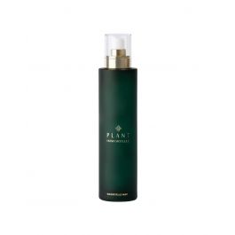 Plant Immortelle mist
